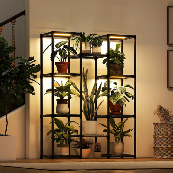 STÄLLGRÖN Botanical Plant Display