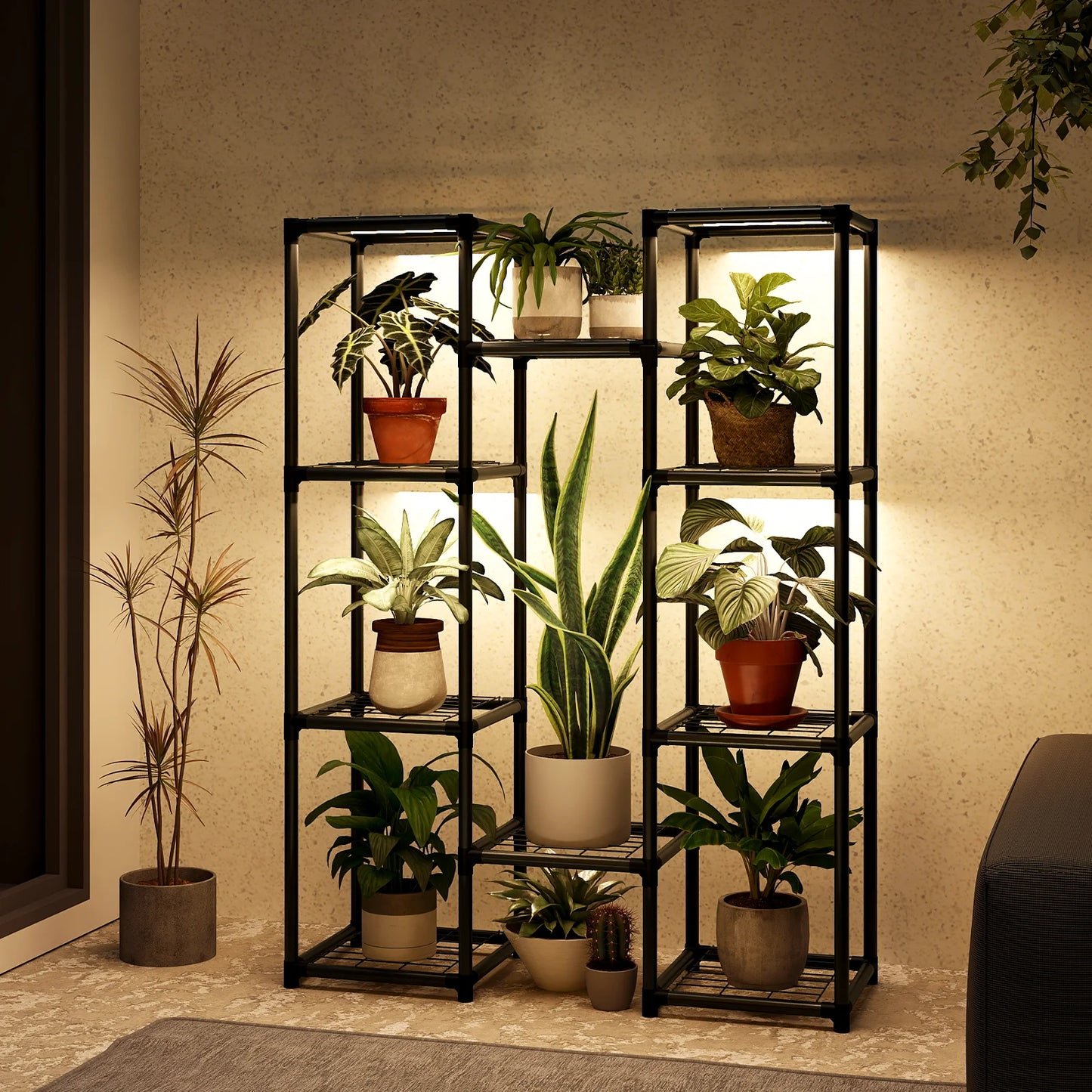 STÄLLGRÖN Botanical Plant Display