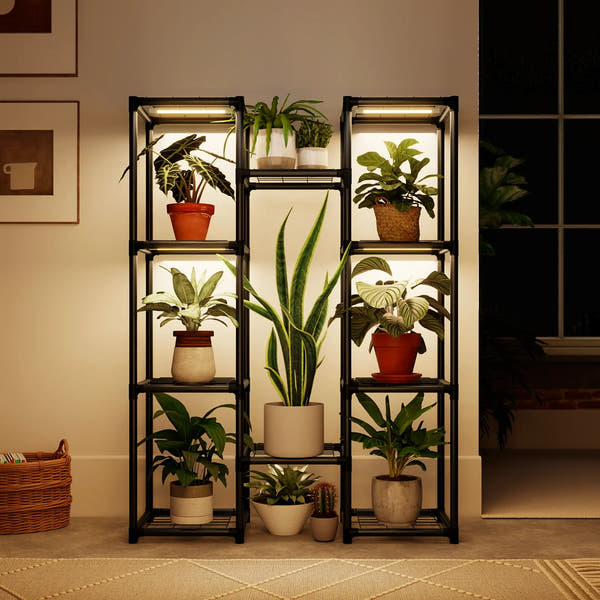 STÄLLGRÖN Botanical Plant Display
