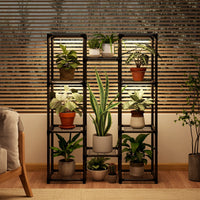STÄLLGRÖN Botanical Plant Display